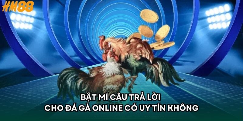 Bật mí câu trả lời cho đá gà online có uy tín không