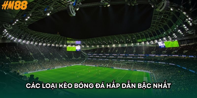 Các loại kèo bóng đá hấp dẫn bậc nhất