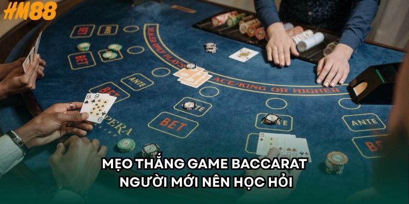 Mẹo thắng game baccarat người mới nên học hỏi