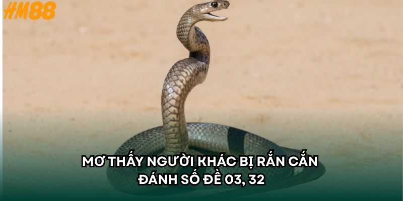 Mơ thấy người khác bị rắn cắn đánh số đề 03, 32