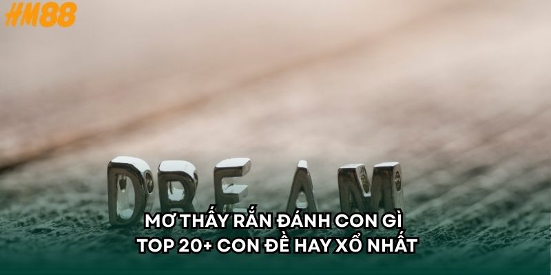 Mơ Thấy Rắn Đánh Con Gì - Top 20+ Con Đề Hay Xổ Nhất