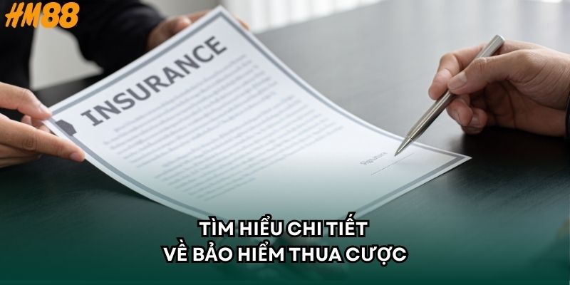 Tìm hiểu chi tiết về bảo hiểm thua cược